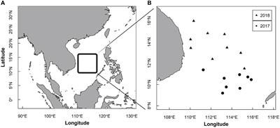 Form identification of purple flying squid (Sthenoteuthis oualaniensis) based on gladius morphology